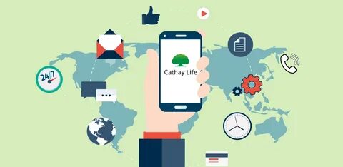 Vật dụng nhà bếp này có thể chứa nhiều vi khuẩn hơn cả bệ bồn cầu