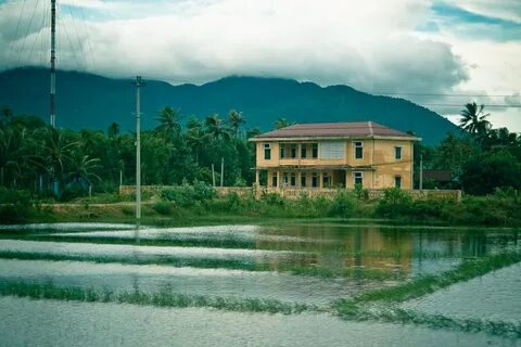 Tiền đạo Brazil lập công, áp sát vị trí số 1 của Tiến Linh_chiến lược hiệu quả tiếp thị video
