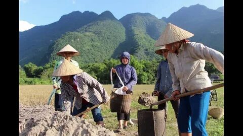 Bùi Tiến Dũng kiên cường, Đà Nẵng đánh bại Quảng Nam